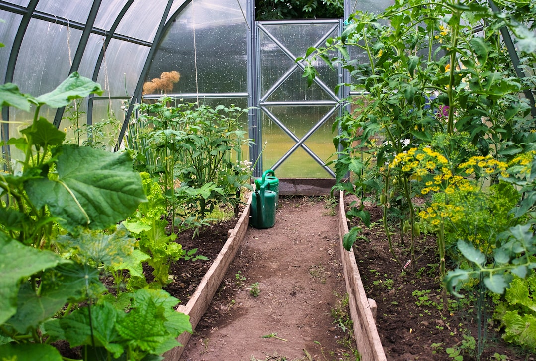 Pomysłowy Ogródek Warzywny: Jak Stworzyć Własne Rajskie Zakątki